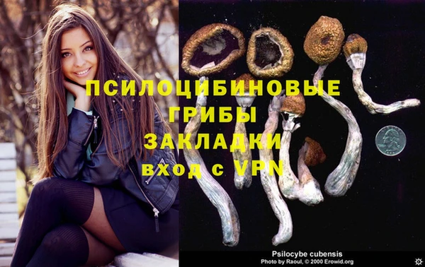 ГАЛЛЮЦИНОГЕННЫЕ ГРИБЫ Лихославль