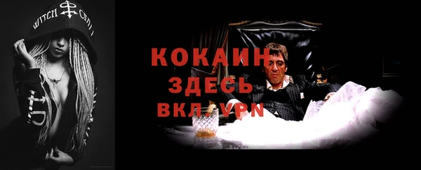 ГАЛЛЮЦИНОГЕННЫЕ ГРИБЫ Лихославль