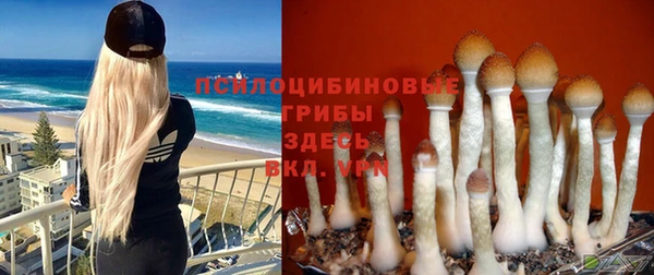 прущие крисы Лагань
