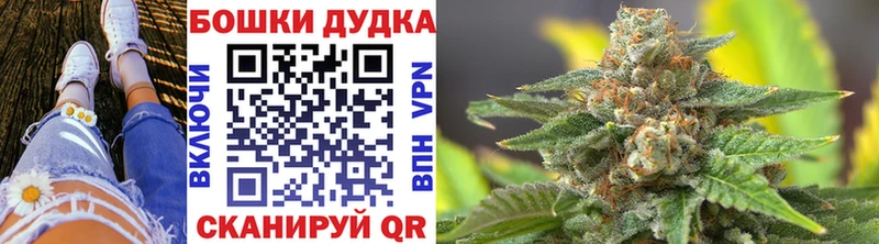 МАРИХУАНА план  Купить где  Заполярный 